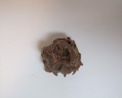 A coconut cluster