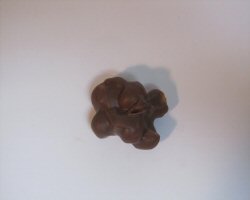 Peanut Cluster
