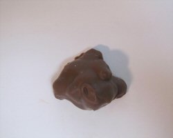 A raisin cluster