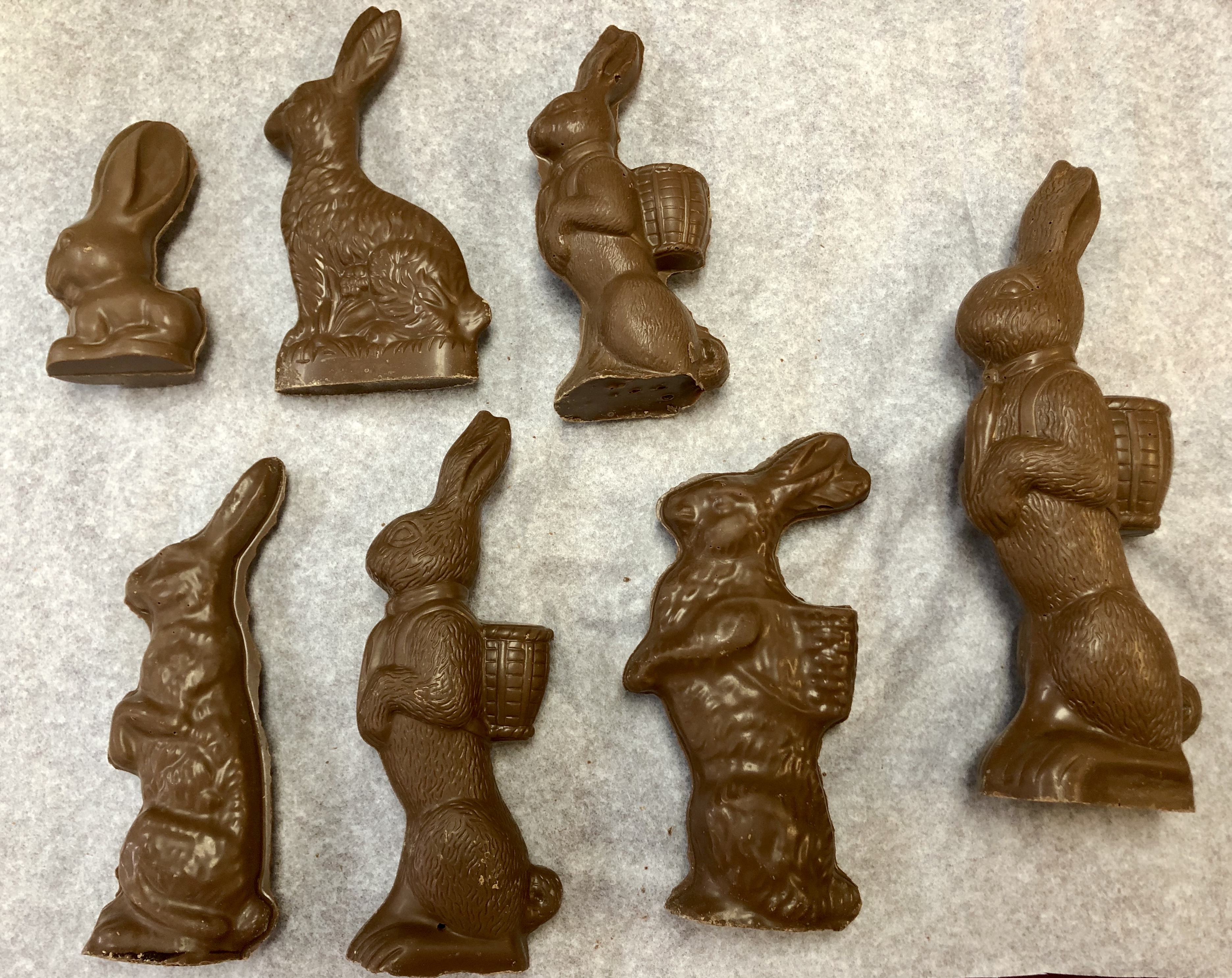 Chocolate Bunnies